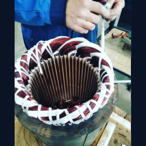 RIAVVOLGIMENTO MOTORI ELETTRICI CORRENTE ALTERNATA