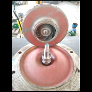 RIPARAZIONE POMPE CALPEDA